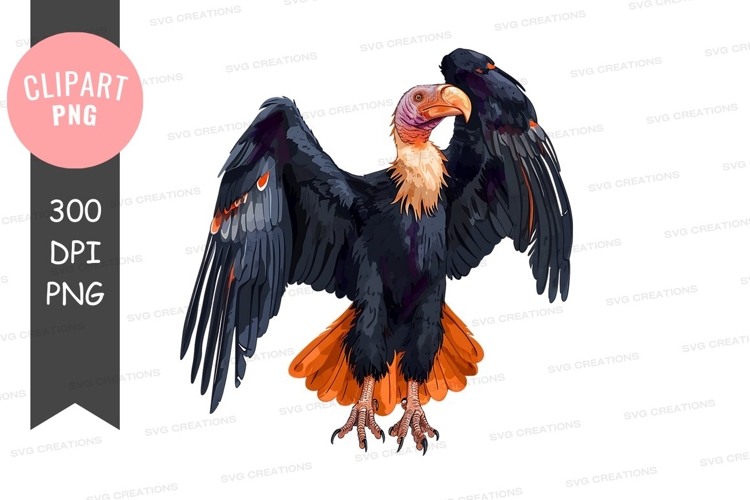 Nature Illustration Image 4