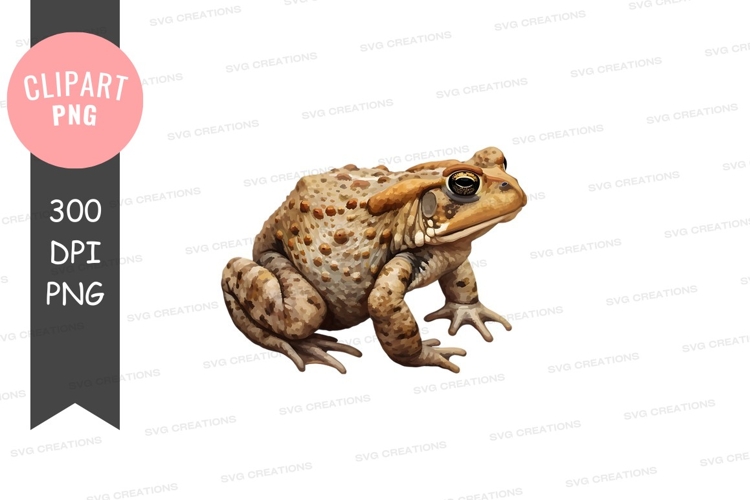 Frog Clipart Image 3