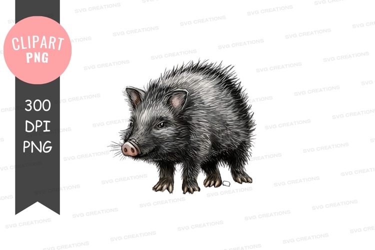 Porcupine Clipart Image 18