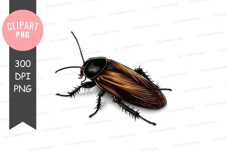 Cockroach Clipart Image 5