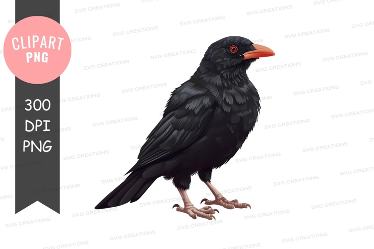 Leg Clipart Image 20