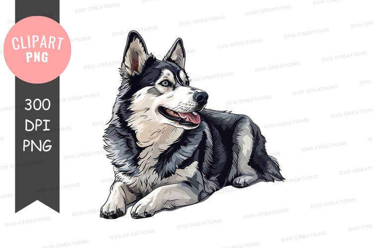 Husky Png Image 8
