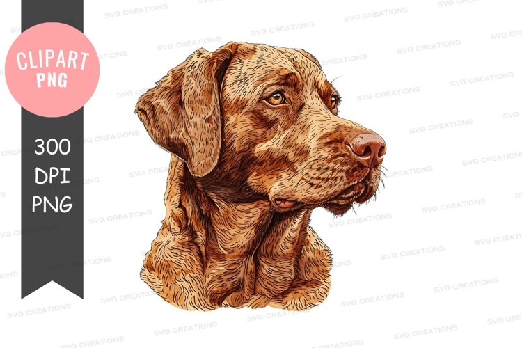 Fur Texture Image 19