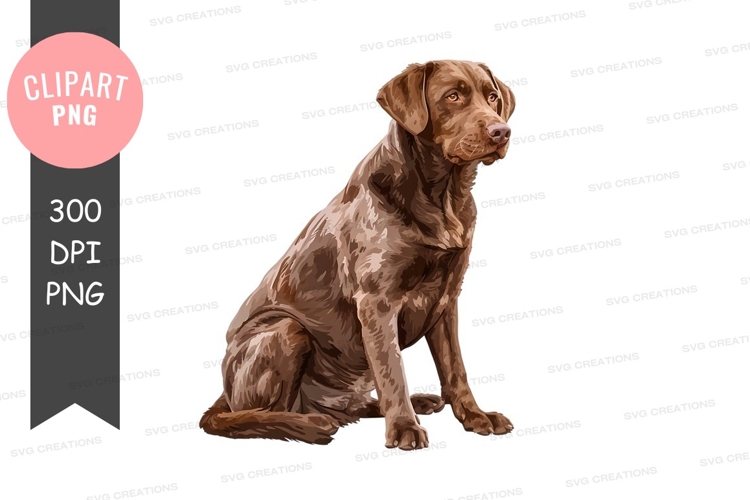 Labrador Clipart Image 23