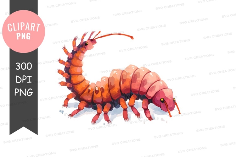 Insect Clipart Image 13