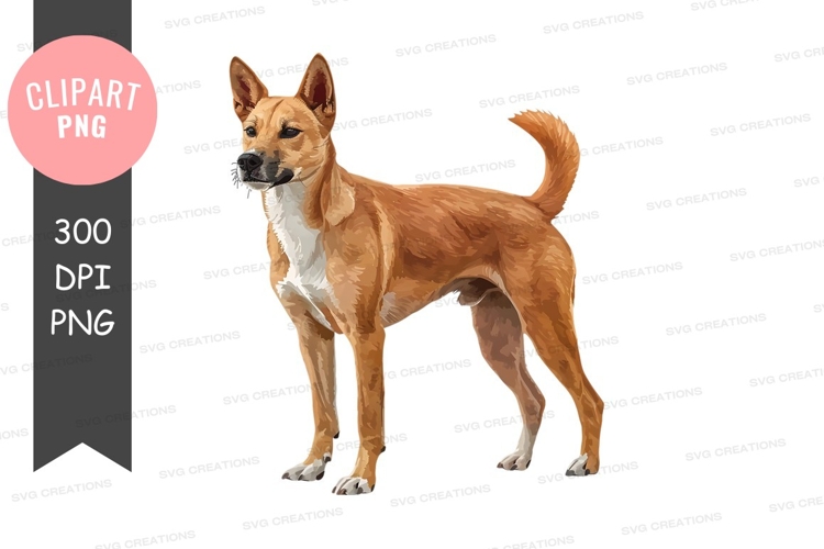 Pet Illustration Image 23