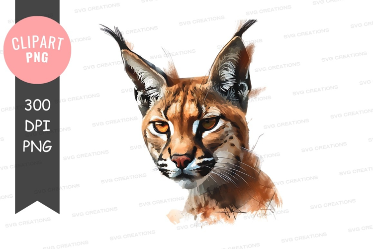 Portrait of a caracal