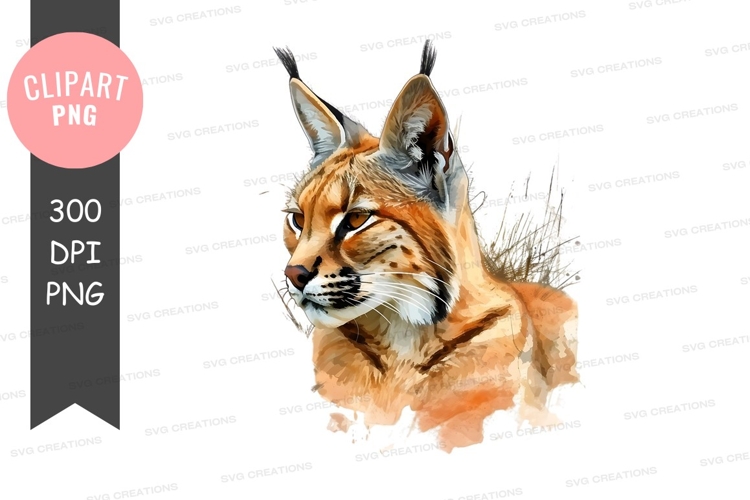 Cat Ear Png Image 15