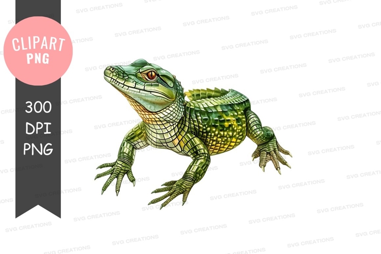 Alligator clipart png