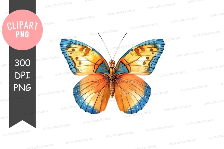 Transparent Background Butterfly Png Image 24
