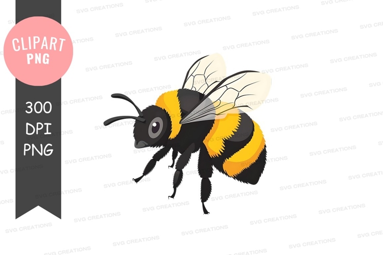 Transparent Wings Png Image 18