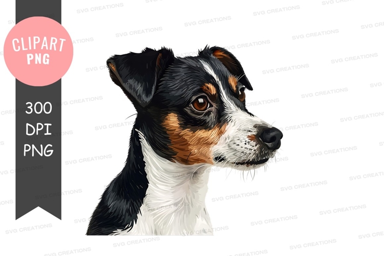 Pet Illustration Image 16