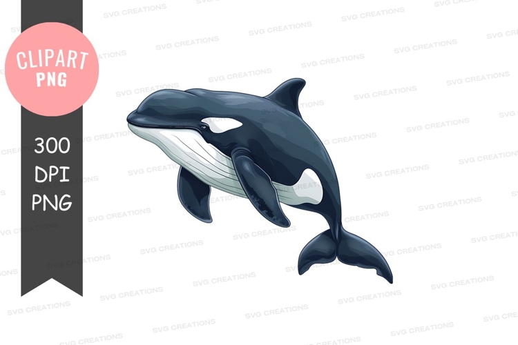 Whale Clipart Image 5