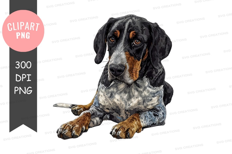 Portrait of a dog