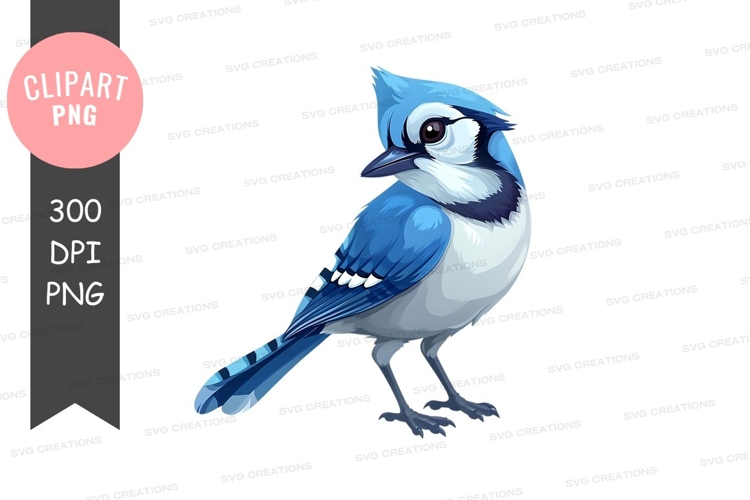 Blue Jay Clipart Image 9