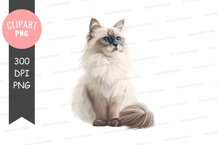 Pet Illustration Image 7