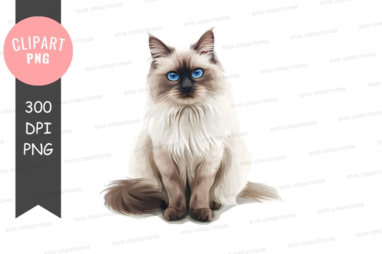 Graceful siamese cat example image 1