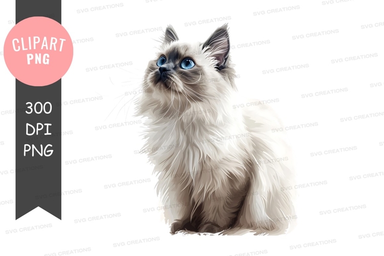 Beautiful Clipart Image 23