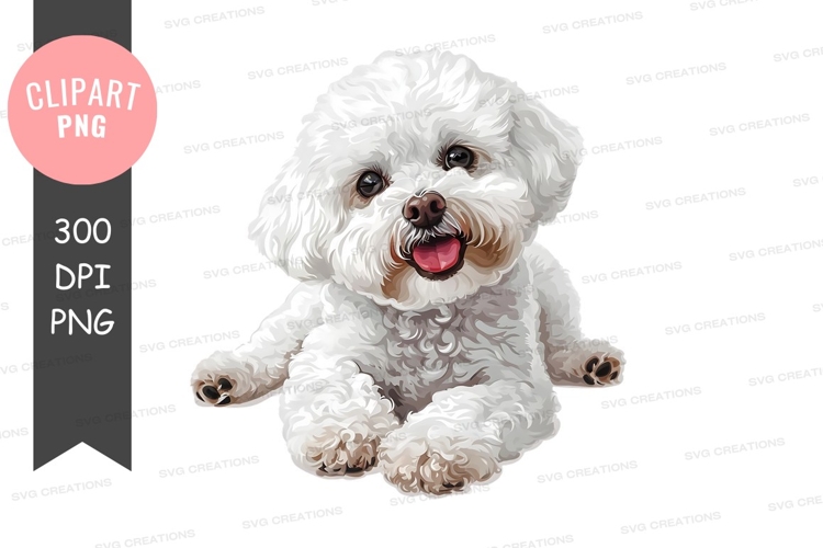 Happy bichon frise puppy clipart png