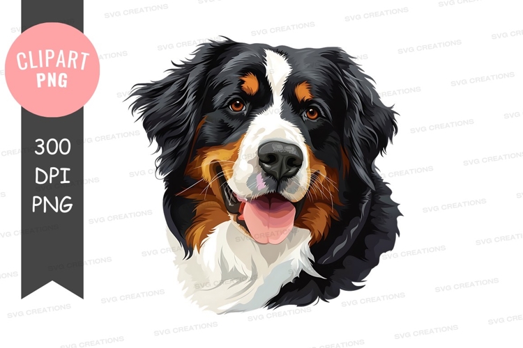 Pet Illustration Image 6