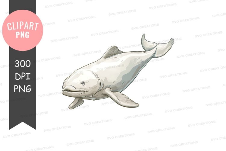 Dolphin Clipart Image 4