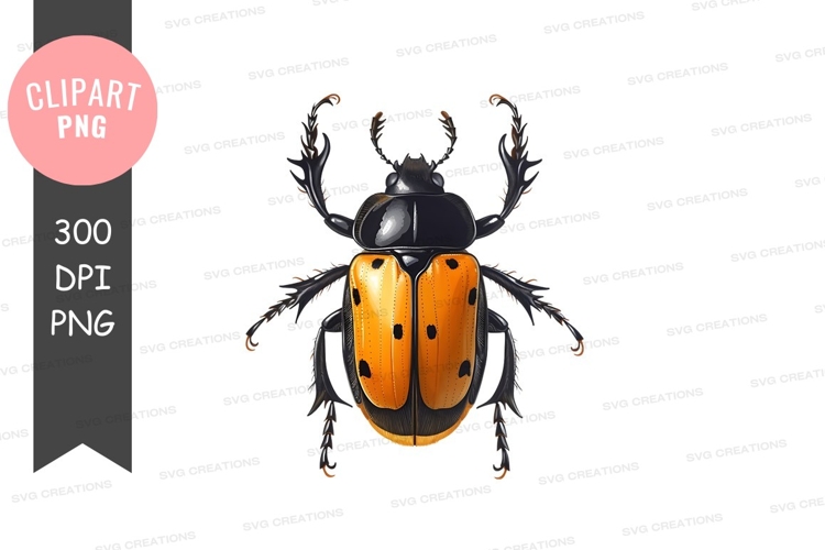 Beetle Illustration Image 7