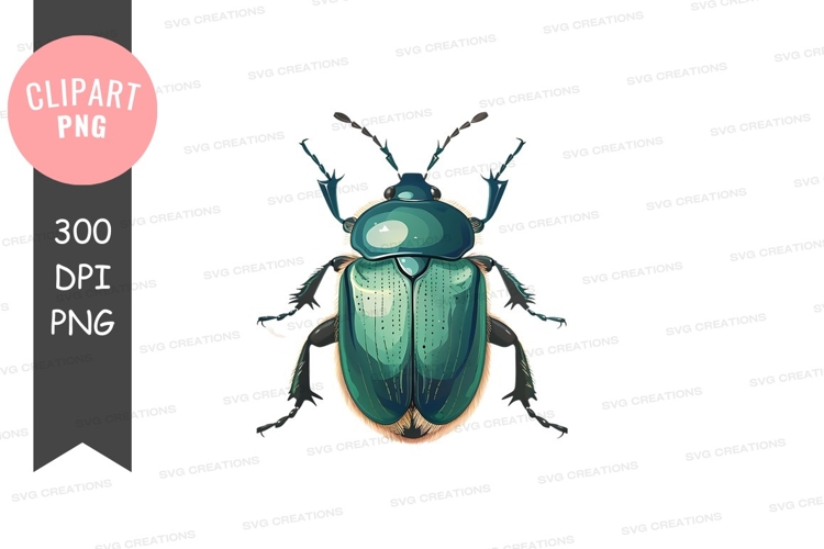 Insect Clipart Image 5