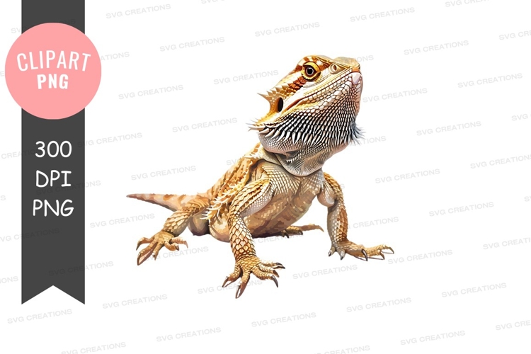 Bearded Dragon Clipart Image 10