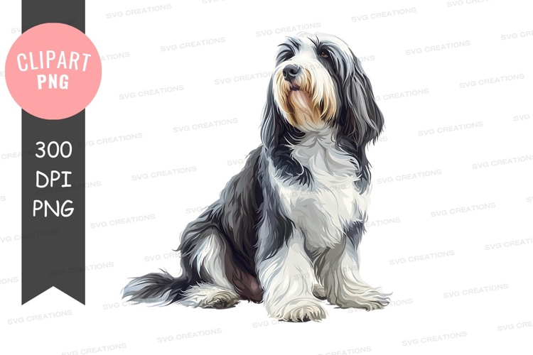 Pet Illustration Image 4