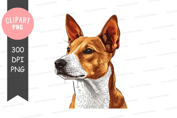 Portrait of a basenji dog