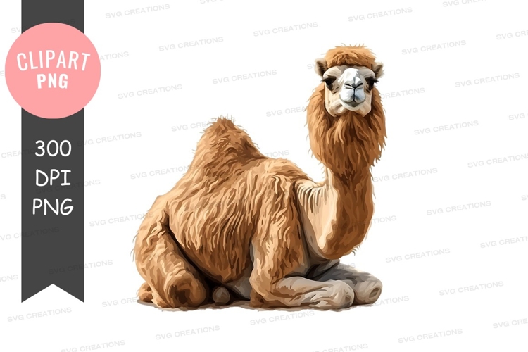 Stecknadel Png Image 8