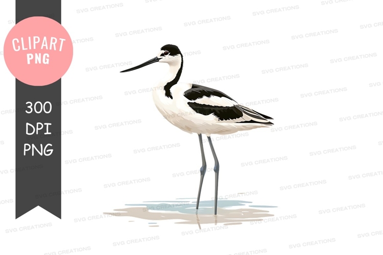 Reflection Clipart Image 7