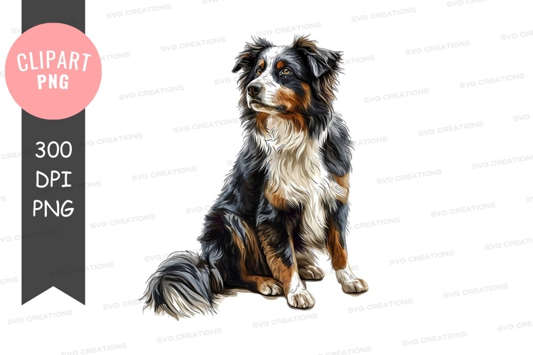 Pet Illustration Image 13