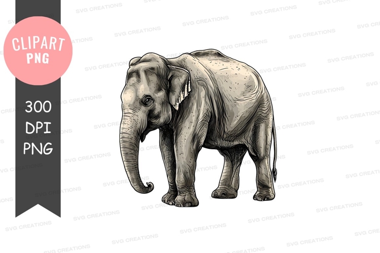 Ears Clipart Image 13