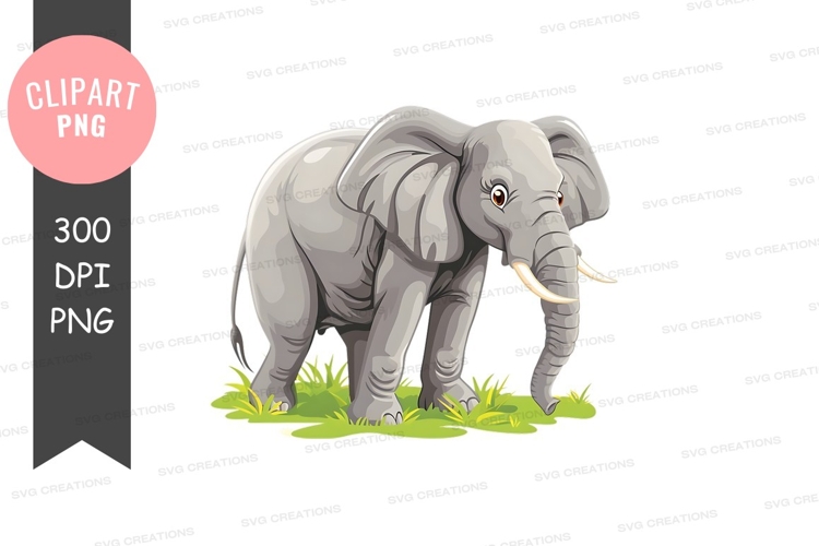 Young elephant in grassland
