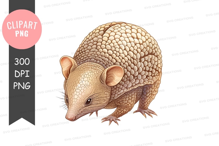 Armadillo clipart png
