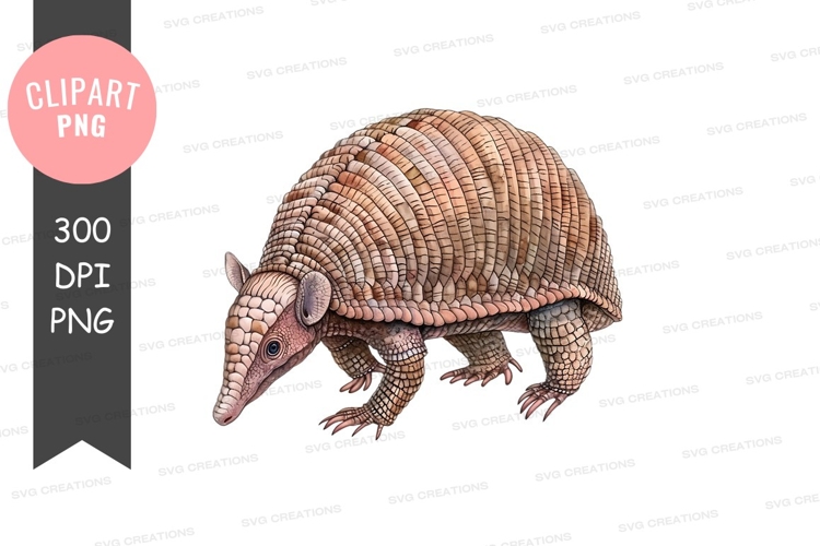 Armadillo clipart png