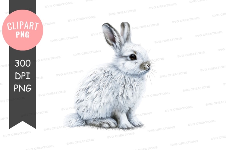 White rabbit clipart png