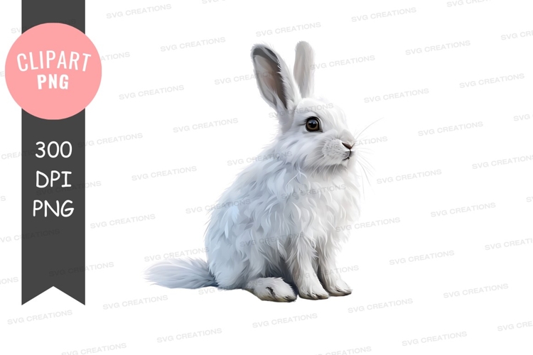 White rabbit clipart png
