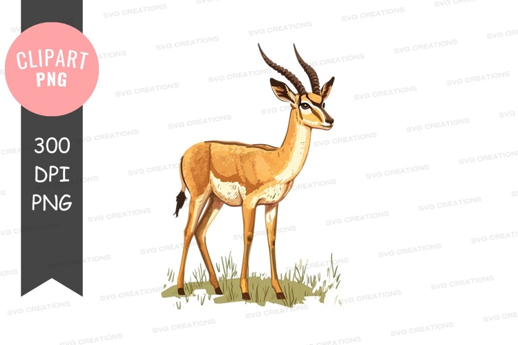 Gazelle clipart png