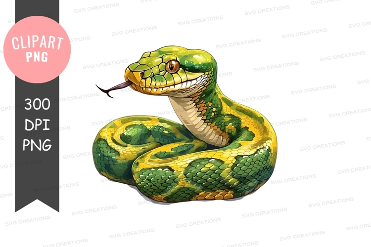 Snake Png Image 8