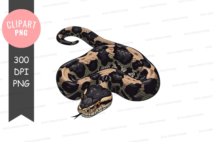 Snake Illustration Image 22