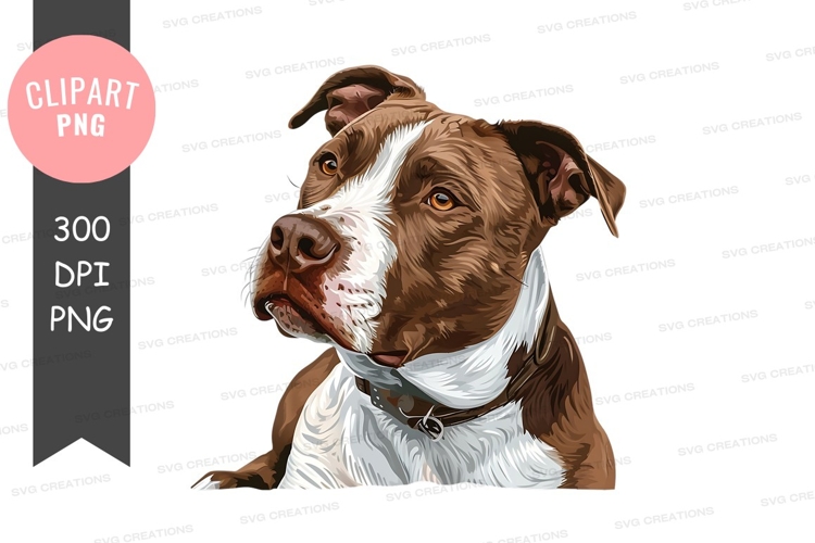 Dog Collar Clipart Image 23