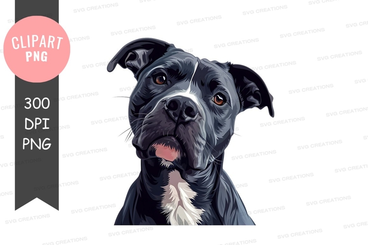 Pitbull Png Clipart Image 5