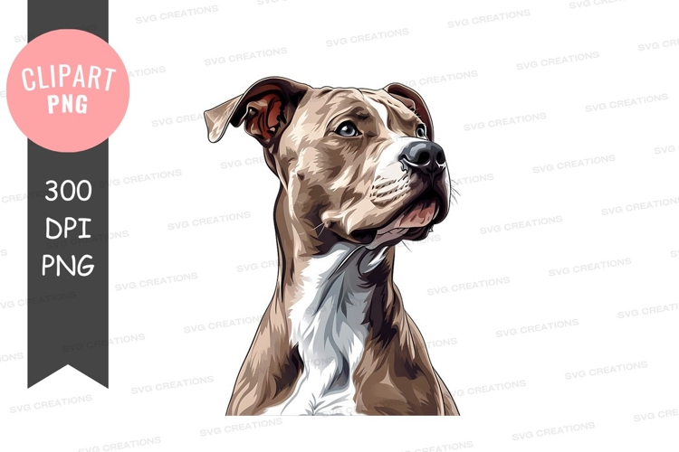 Pet Illustration Image 8