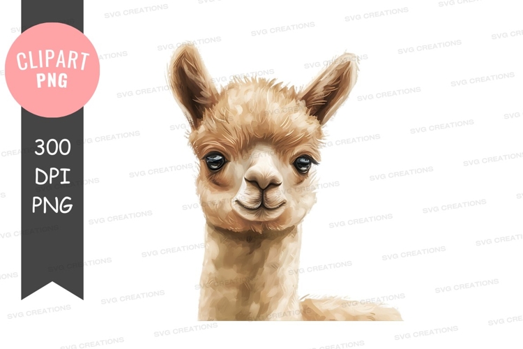 Feather Clipart Image 16