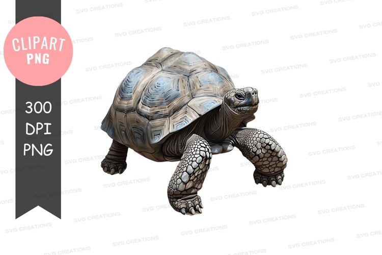 Stylized turtle clipart png