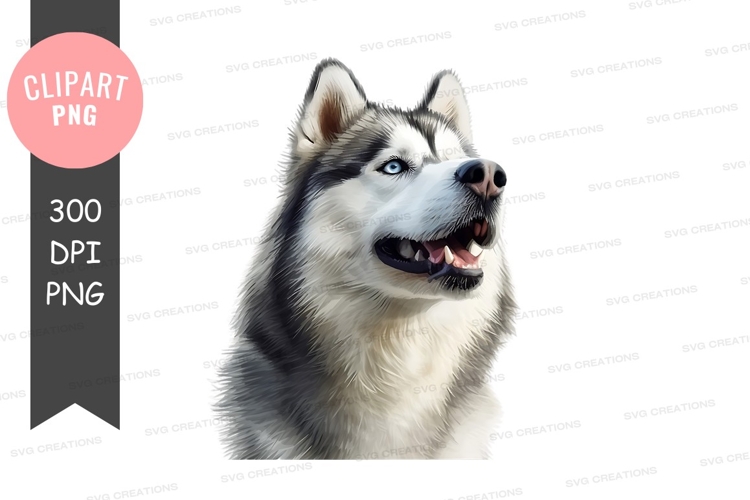 Eyes Clipart Image 9