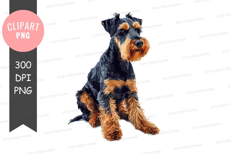 Pet Illustration Image 22