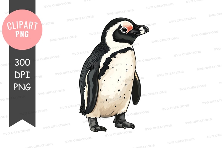 Black And White Penguin Clipart Image 22